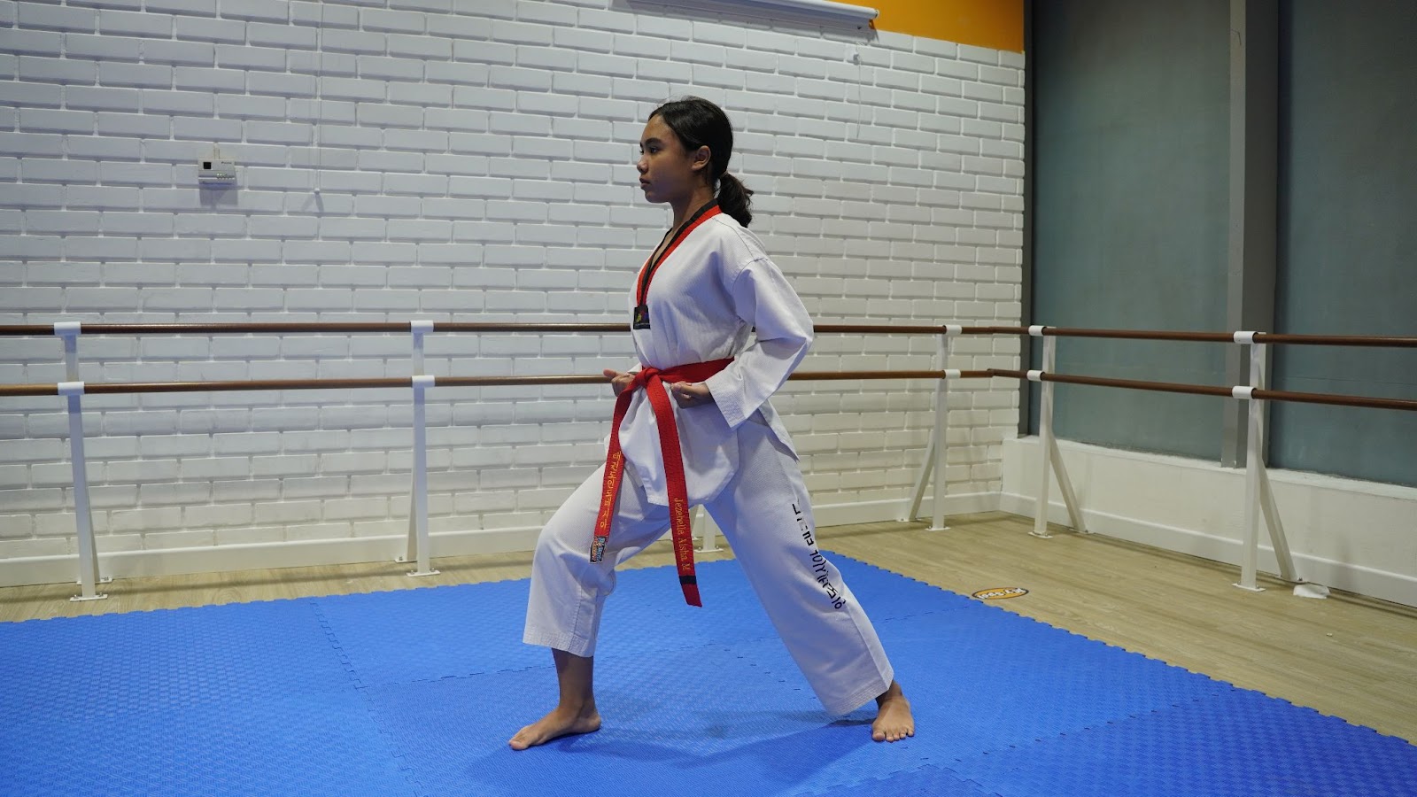 Types of Taekwondo Stances - Walking Stance (ap seogi or front stance) 