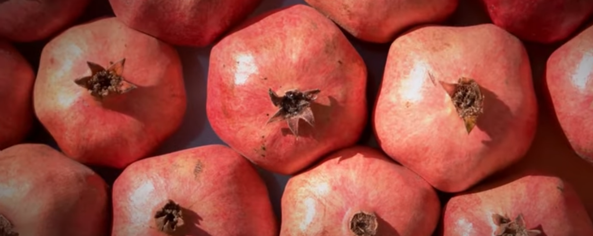 pomegranates having iron nutrition
