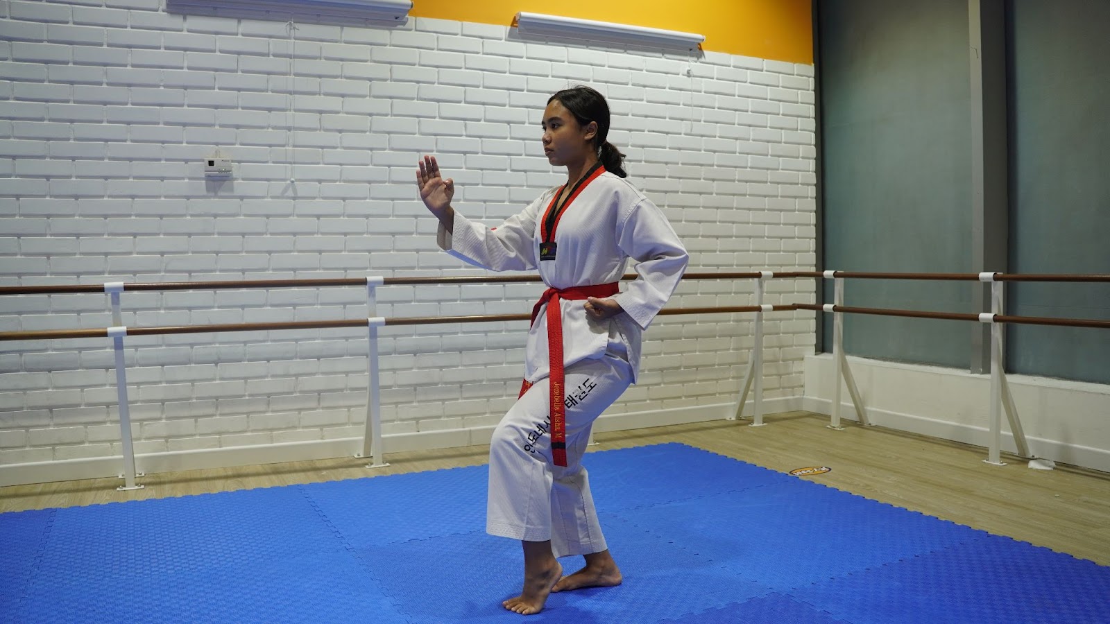 Types of Taekwondo Stances - Tiger Stance (beom seogi) 