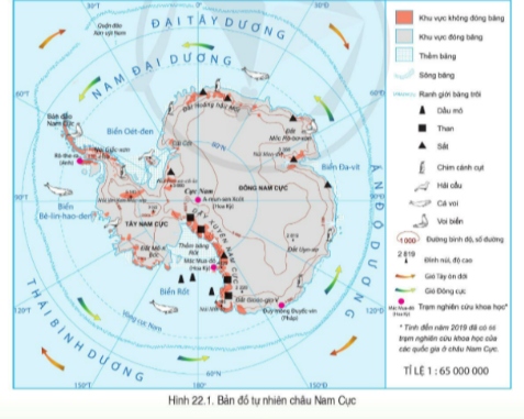 BÀI 22. CHÂU NAM CỰCVị trí địa lí châu Nam CựcCâu 1: Quan sát hình 22.1 và quả địa cầu, hãy nêu vị trí địa lí của châu Nam Cực.Đáp án chuẩn: Gồm lục địa Nam Cực và các đảo ven lục địa; nằm chủ yếu trong vòng cực Nam (66°33 N), được bao bọc bởi Nam Đại Dương, châu lục rộng thứ tư trên thế giới.Lịch sử khám phá và nghiên cứu châu Nam CựcCâu 1: Đọc thông tin và quan sát hình 22.1, hãy trình bày lịch sử khám phá và nghiên cứu châu Nam Cực. Đáp án chuẩn: - Đầu thế kỷ XX, một số nhà thám hiểm đầu tiên đặt chân lên lục địa Nam Cực.- Từ năm 1957, nghiên cứu châu Nam Cực được tiến hành mạnh mẽ và toàn diện.- Năm 1959, 12 quốc gia ký Hiệp ước Nam Cực nhằm bảo tồn lục địa này cho mục đích hoà bình và nghiên cứu khoa học.- Châu Nam Cực hiện không có cư dân sinh sống thường xuyên.Đặc điểm thiên nhiên châu Nam CựcCâu 1: Đọc thông tin và quan sát hình 22.1, hình 22.4, hình 22.5, hãy trình bày đặc điểm thiên nhiên nổi bật của châu Nam Cực. Đáp án chuẩn: - Địa hình: độ cao trung bình lớn nhất; lãnh thổ bị băng bao phủ- Khoáng sản: giàu tài nguyên khoáng sản: than, sắt, dầu mỏ.- Khí hậu: lạnh nhất, nhiều gió bão nhất và khô nhất trên Trái Đất.  - Sinh vật: Thực vật rất nghèo nàn, nhiều loài động vật chịu được lạnh như chim cánh cụt, hải cầu, chim biển, cá voi,... Kịch bản về sự thay đổi thiên nhiên châu Nam Cực khi có biến đổi khí hậu toàn cầuCâu 1: Đọc thông tin và quan sát hình 22.6, hãy mô tả kịch bản về sự thay đổi thiên nhiên châu Nam cực khi có biến đổi khí hậu toàn cầu. Đáp án chuẩn: Nhiệt độ tăng sẽ làm băng bị tan, thay đổi địa hình, biến đổi chuỗi thức ăn LUYỆN TẬPCâu 1: Sự ấm lên của khí hậu có tác động như thế nào đối với thiên nhiên của châu Nam Cực? Đáp án chuẩn: Mực nước biển dâng lên hàng chục mét, thay đổi địa hình, ảnh hưởng đến sinh vật,...Câu 2: Vì sao châu Nam Cực không có cư dân sinh sống thường xuyên?Đáp án chuẩn: Nhiệt độ lạnh nhất thế giới, con người chỉ chịu đựng trong thời gian ngắnVẬN DỤNG