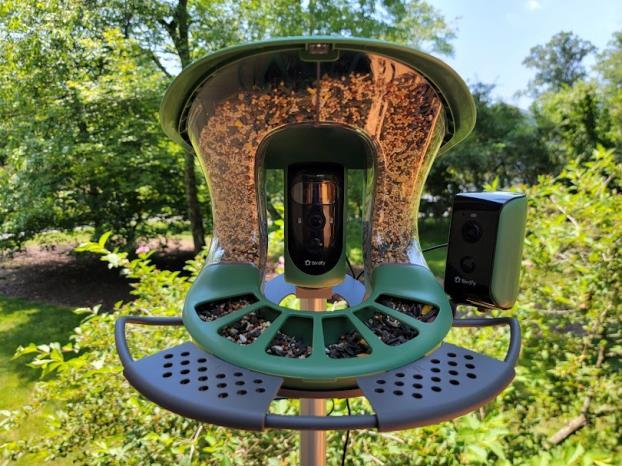 Birdfy Revolutionizes Birdwatching with Smart Bird Feeder Camera: Enhancing Wildlife Observation with Cutting-Edge Features