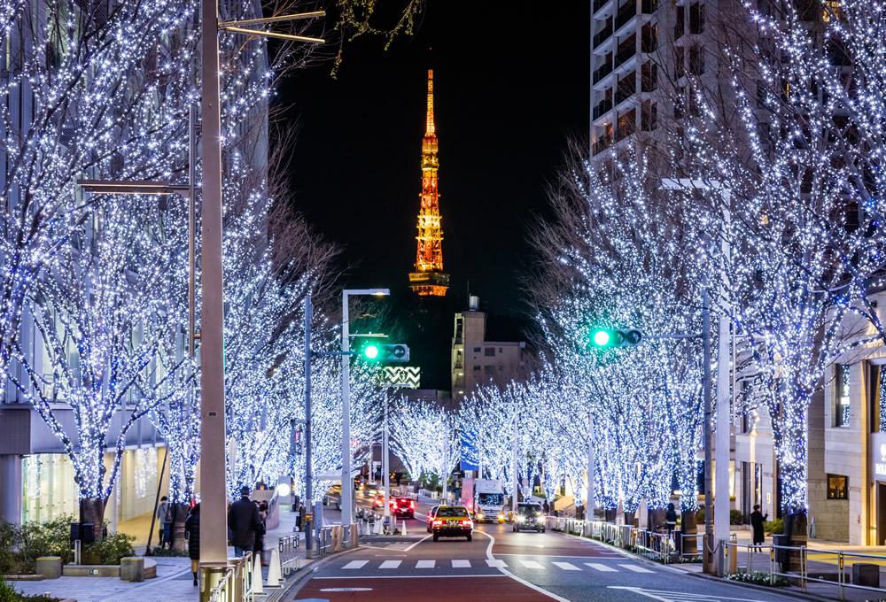 A street with trees with lights and a tower in the backgroundAI-generated content may be incorrect.