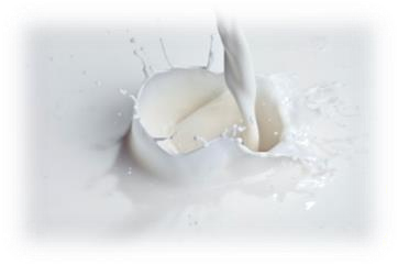 A picture containing milk, food, wall, white  Description automatically generated