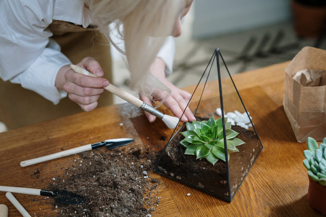 glass triangle holding a succulent