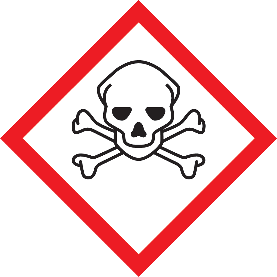 Skull and Crossbones Symbol