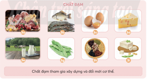 BÀI 23: CÁC NHÓM CHẤT DINH DƯỠNG CÓ TRONG THỨC ĂN