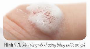 BÀI 9 - TẾ BÀO NHÂN THỰC