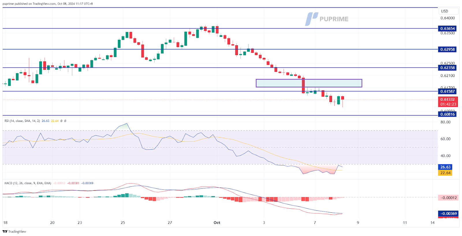 NZD/USD 08102024