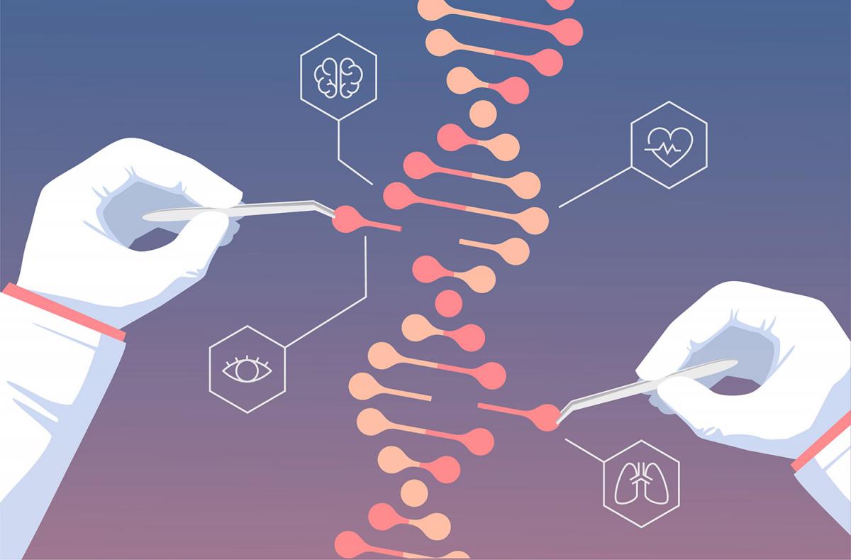 An illustration of a scientist manipulating the genetic code.