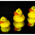 PACK OF THREE RUBBER DUCK FOR KIDS