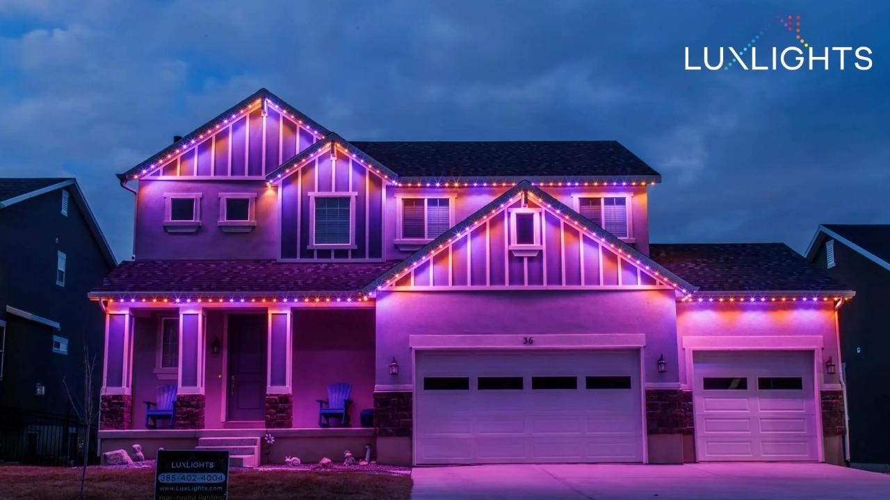 purple permanent Christmas lights