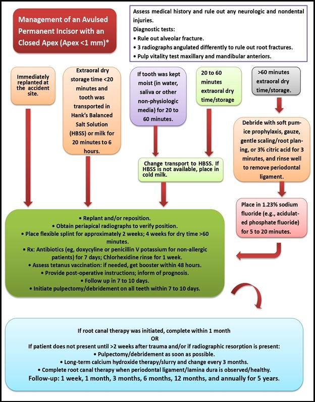 Traumatic Dental Injuries