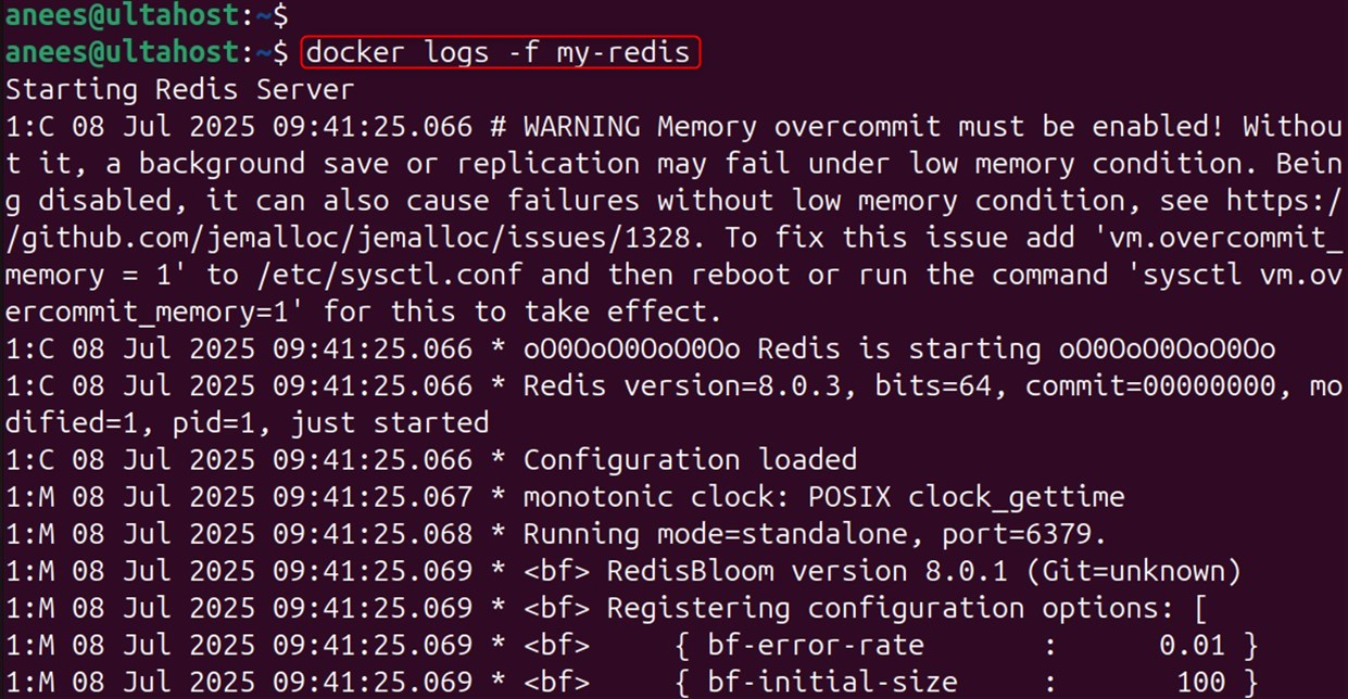 persistent monitoring