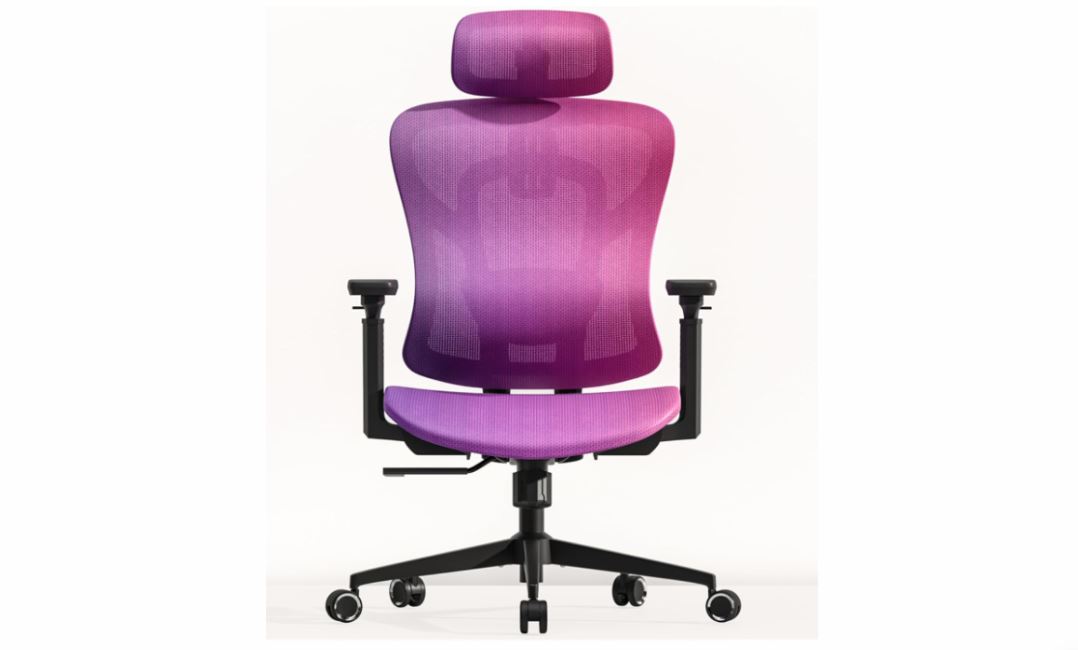 Logicfox Ergonomic Chair