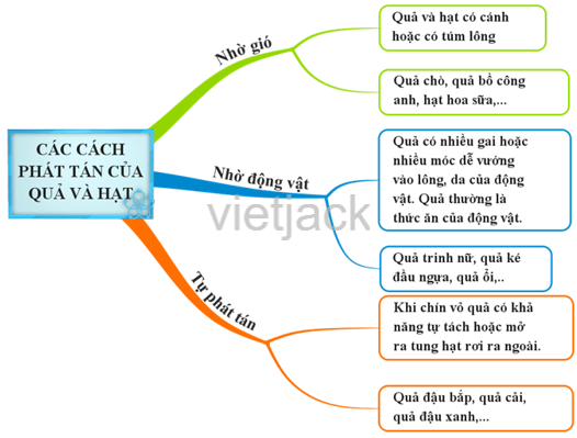 BÀI 6. SƠ ĐỒ TƯ DUY 1. KHÁI NIỆM SƠ ĐỒ TƯ DUYCâu hỏi: Nếu được mời giới thiệu với các bạn trong lớp về bản thân, em dự kiến sẽ nói về những gì? Em vẽ sơ đồ tư duy thể hiện dự kiến đó. Hình 2 sau đây là một ví dụ?Giải nhanh:Học sinh dựa vào Hình 2, SGK trang 75 để triển khai sơ đồ tư duy của mình2. CÁCH LẬP MỘT SƠ ĐỒ TƯ DUY ĐƠN GIẢNCâu hỏi: Xem sơ đồ tư suy thể hiện một kế hoạch hoạt động hè ở Hình 1. Hãy trả lời các câu hỏi sau đây:1. Nếu gọi chủ đề trung tâm là chủ đề mẹ thì đâu là những chủ đề con của chủ đề trung tâm?2. Nếu gọi chủ đề Ôn tập là chủ đề con thì chủ đề mẹ của nó là chủ đề nào3. Nếu gọi chủ đề Ôn tập là chủ đề mẹ thì nó có những chủ đề con nào?Giải nhanh:1. Chủ đề con: Ôn tập, tham gia hoạt động, Giúp bố mẹ, Học mới2. Chủ đề mẹ: Kế hoạch hè3. Chủ đề con: Tiếng Anh, ToánLUYỆN TẬPCâu 1: Em hãy tóm tắt các thành phần chủ yếu của một mạng máy tính bằng cách vẽ tay một sơ đồ tư duyGiải nhanh:Câu 2: Em hãy vẽ tay một sơ đồ tư duy thể hiện những chuẩn bị của em cho một chuyển tham quanGiải nhanh:VẬN DỤNGCâu 1: Theo em, sử dụng sơ đồ tư duy là hữu ích trong những trường hợp nào sau đây?Viết một lá thư cho người thânTóm tắt ý chính của một bài phát biểuTính toán chi phí cho một hoạt độngTổng kết nội dung một cuộc họpGiải nhanh:Sử dụng sơ đồ tư duy là hữu ích trong: Tóm tắt ý chính của một bài phát biểu, tổng kết nội dung một cuộc họp.Câu 2: Em hãy chọn để vẽ sơ đồ tư duy cho một trong các trường hợp trên mà em nhận thấy sơ đồ tư duy là hữu íchGiải nhanh:TỰ KIỂM TRA