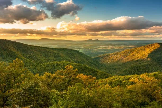 15 Earth’s Curves Captured from Afar, distant curves, terrain shape, nature, forest, landscape, land flow, natural roundness