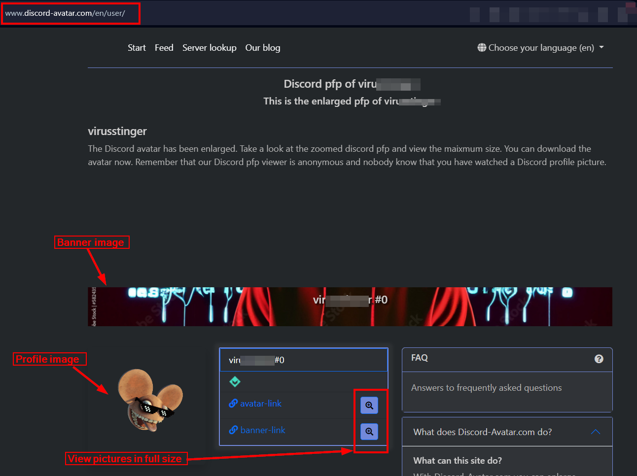 The Discord Avatar website interface, demonstrating how to enlarge and download a user’s profile and banner image.