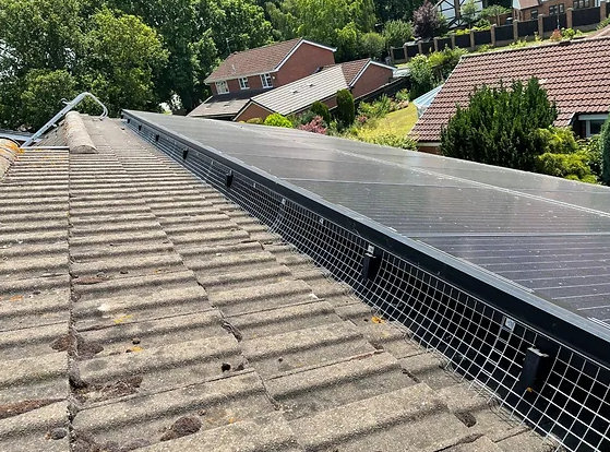 Solar Panel Bird Proofing