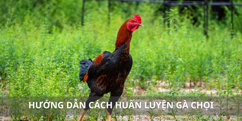 AD_4nXfeyucLIpJaO8BhovRtlXVLLahrInZUHgh-O3O09NQD8uOoJ7OO1EJZDv03VHQPBgM8Q8pGMZ51fmzB5anlCci3g0Wkt1jdhIWJAmwKzuvF58rPDxlCHRezOTzKRl4WMU-zv6xUbQRng4NG_tQvX5AdvTY?key=9wk2HLr1IOqfMHYIxq-s-Q