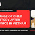 Change of Child Custody After Divorce in Vietnam: 7 Critical Challenges Foreigners Must Overcome