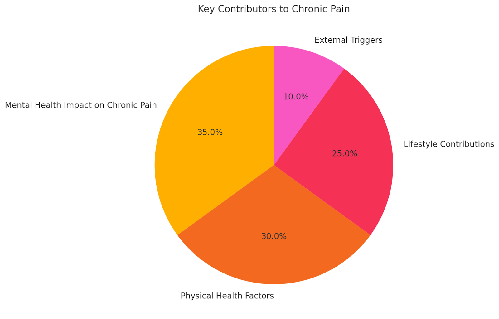 Pie chart showing factors contributing to chronic pain: stress, anxiety, lifestyle, and other causes.