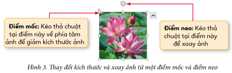 HOẠT ĐỘNG KHỞI ĐỘNGTrước khi vào bài học, chúng ta cùng thảo luận trả lời câu hỏi sau.Quan sát Hình 1 và cho biết: Giữa văn bản không có ảnh như ở Hình 1a và văn bản có ảnh như ở Hình 1b, em thích văn bản nào hơn? Tại sao? Theo em, có thể chèn ảnh vào văn bản giống như cách chèn ảnh vào trang trình chiếu không?HOẠT ĐỘNG HÌNH THÀNH KIẾN THỨC