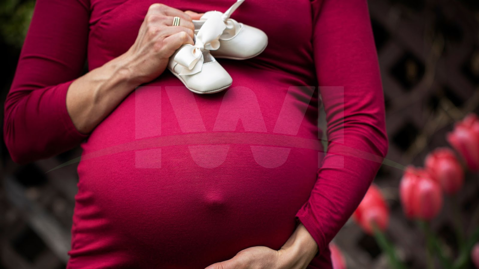 Winter Maternity Family Photos Images 4