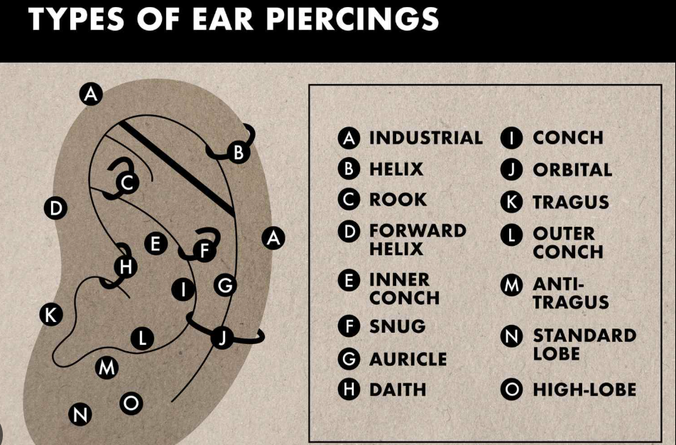 piercing ear chart
