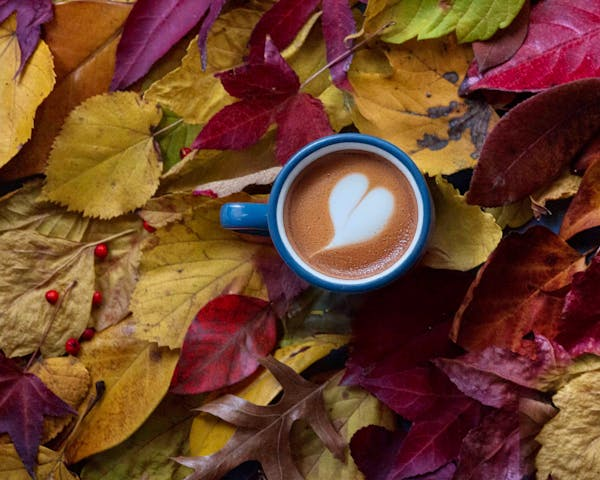 What is Seasonal Coffee and Why you Should have it in your Coffee shop?