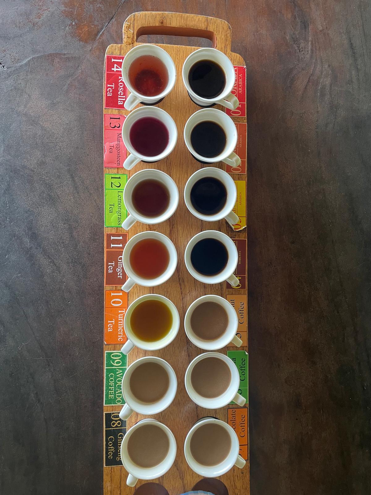 what to do in ubud - Santi Argo Wisata Coffee Tasting