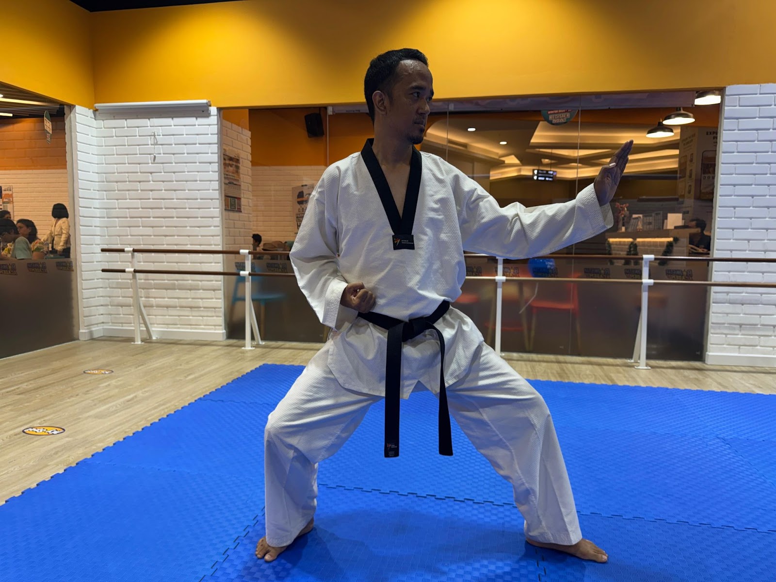 Taekwondo Blocks Techniques - Single Knife Hand Outward Block (Hansonnal-Bakkat-Makgi) 