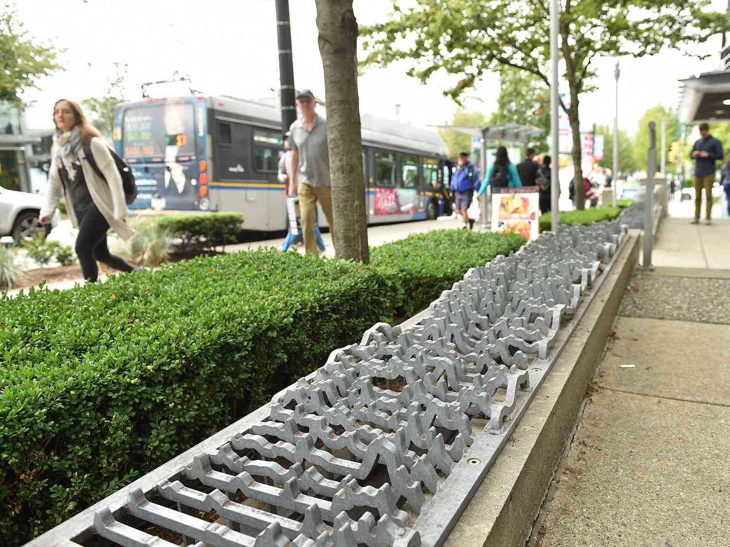 A city sidewalk features raised, intricate metal art fencing alongside manicured shrubs, exemplifying hostile architecture in public spaces.