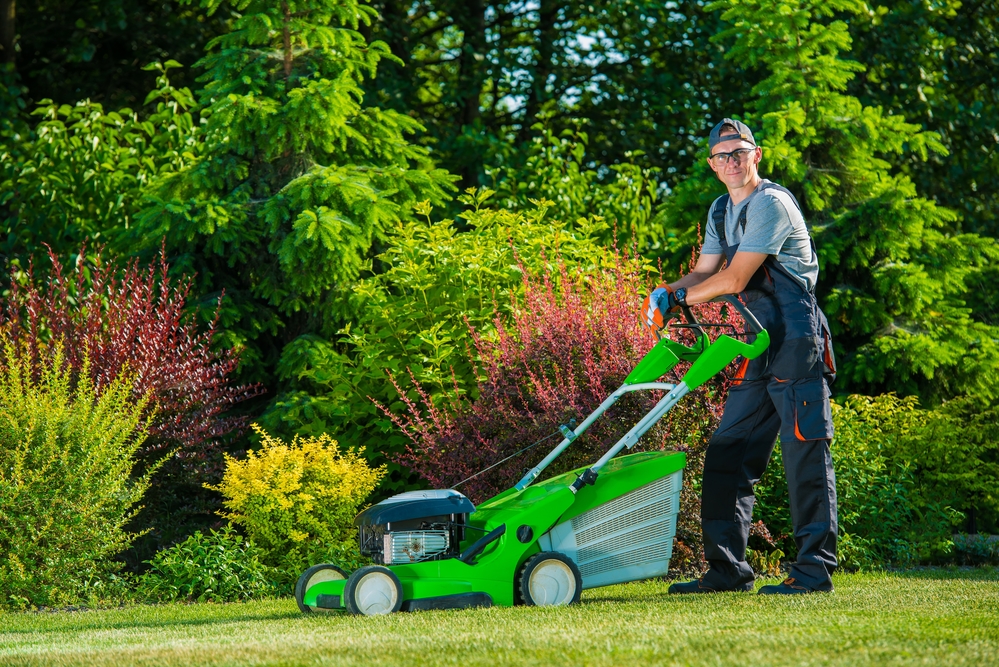 Garden and Landscaping