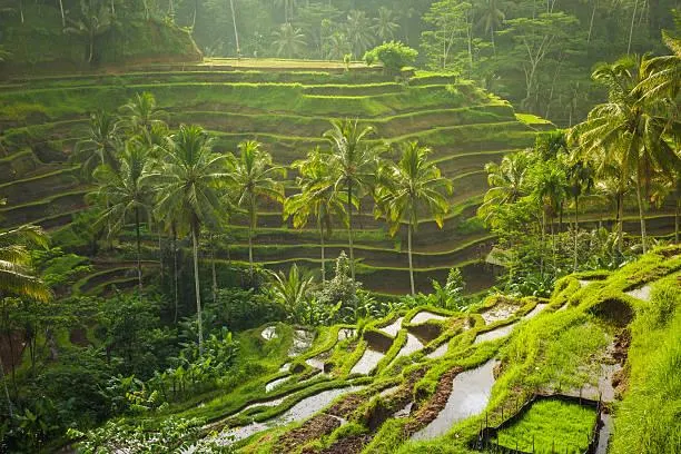 18 Landscapes Where Earth and Water Embrace, earth-water connection, nature blend, nature, landscape, land and lake, river edge