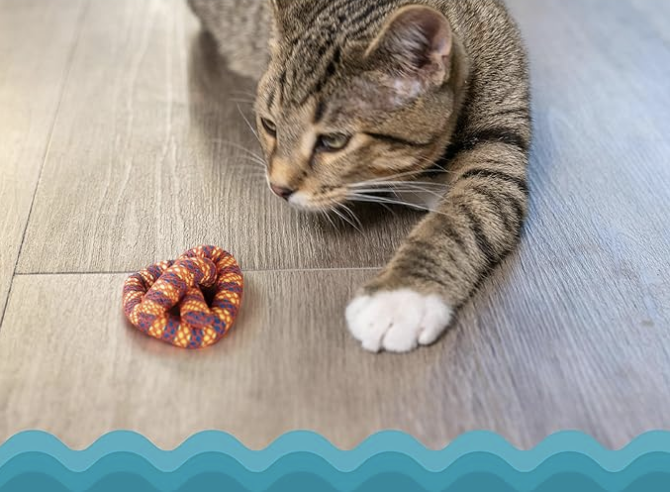 Photo of cat playing with pretzel-shaped catnip toy