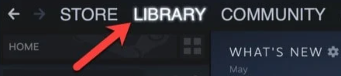 Steam Library