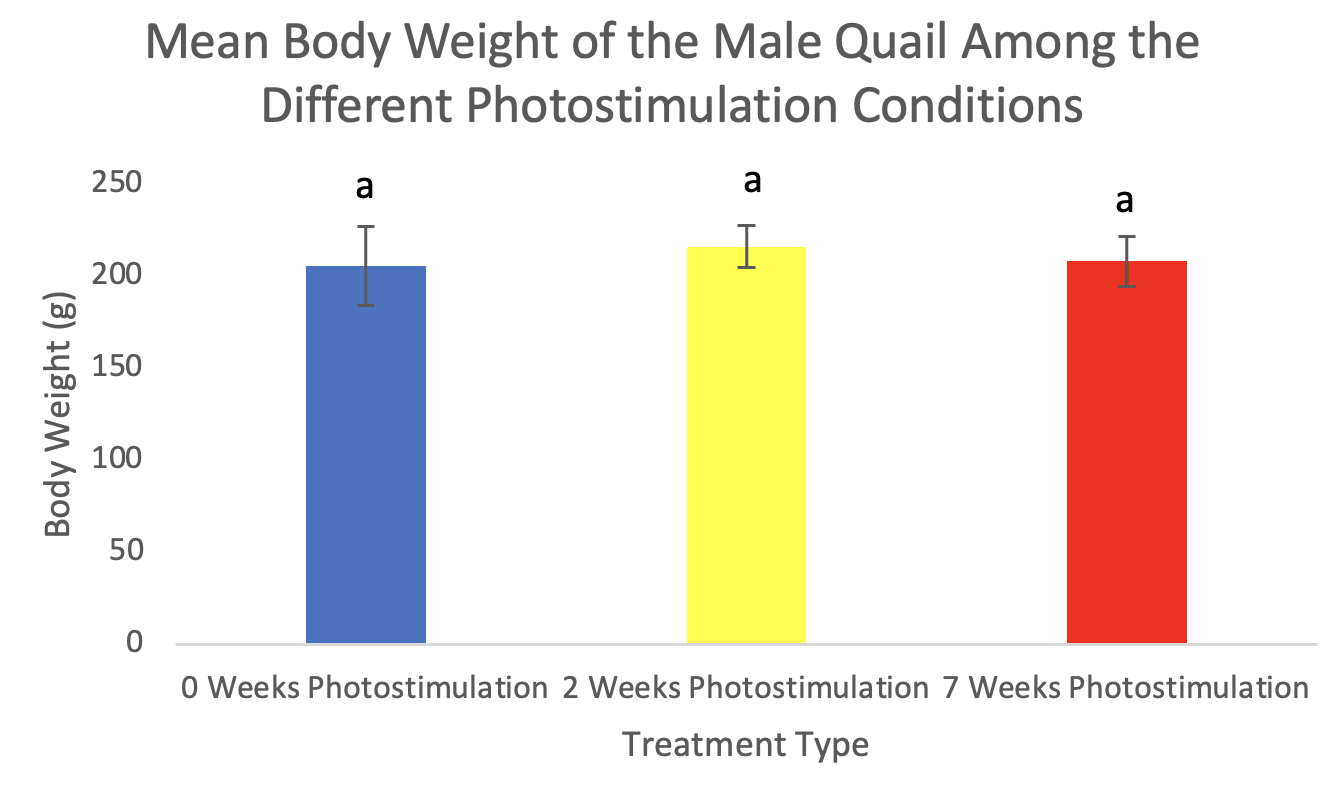 A graph of different photostimulation conditions

Description automatically generated