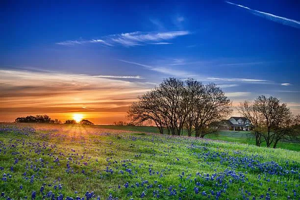 12 Captivating Nature Views to Brighten Your Day, bright views, captivating nature, nature, landscape, joyful landscapes, sunny scenes