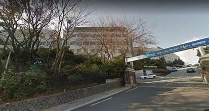 A street with trees and a building

AI-generated content may be incorrect.