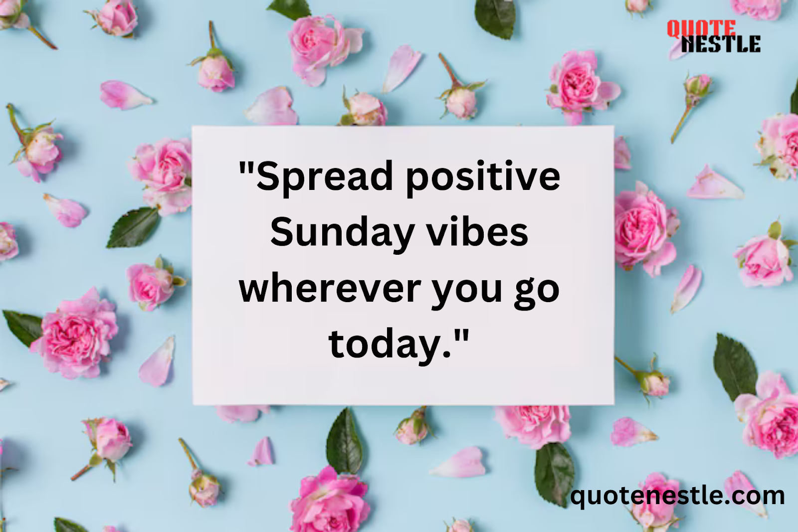 Positive Sunday Vibes