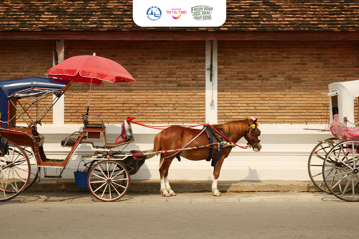 รูปภาพประกอบด้วย กลางแจ้ง, รถเข็น, ล้อ, ขนส่ง

เนื้อหาที่สร้างโดย AI อาจไม่ถูกต้อง