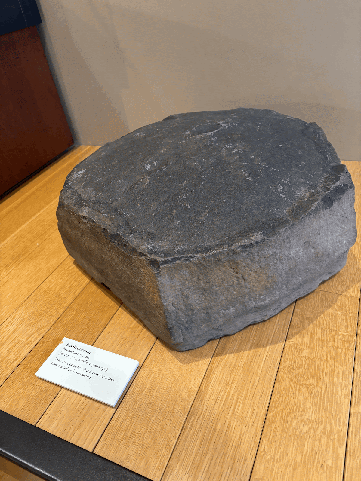 A slab from a column of basaltic rock that formed when lava from a Massachusetts volcano cooled 190 million years ago.