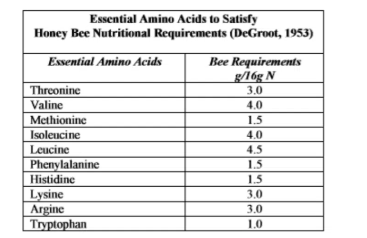 Que dois-je regarder lors de l'achat de produit alimentaire pour abeilles ? - ALIMENTATION & NOURRISSEMENT