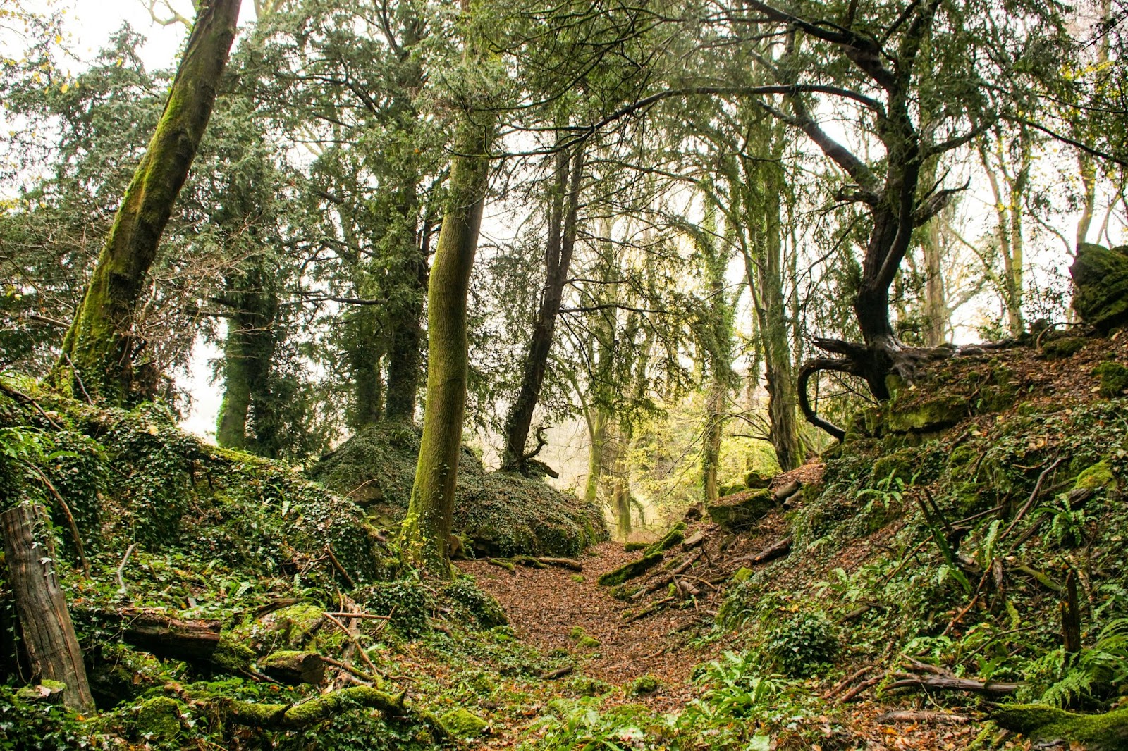 best road trip for ireland