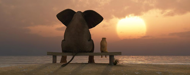 An elephant and cat sitting on a bench

Description automatically generated