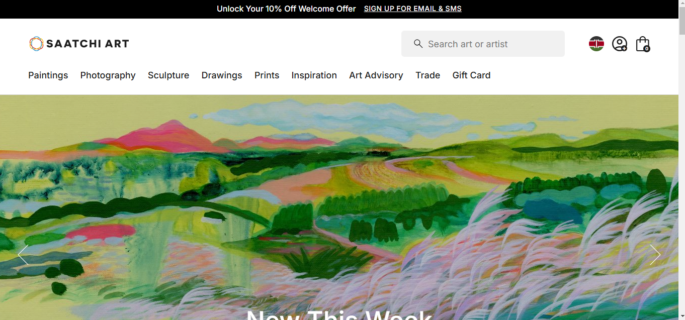 a screenshot of saatchi art