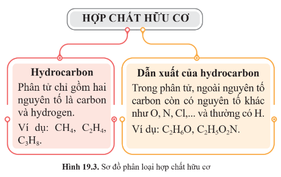 CHỦ ĐỀ 7: HỢP CHẤT HỮU CƠ. HYDROCARBON VÀ NGUỒN NHIÊN LIỆUBÀI 19. GIỚI THIỆU VỀ HỢP CHẤT HỮU CƠ