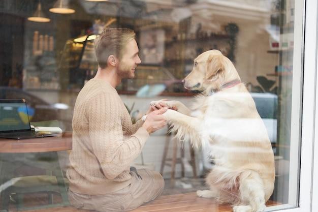 Free Photo | Pet friendly restaurants or public places support dog pets as companions outdoor shot of cafe window