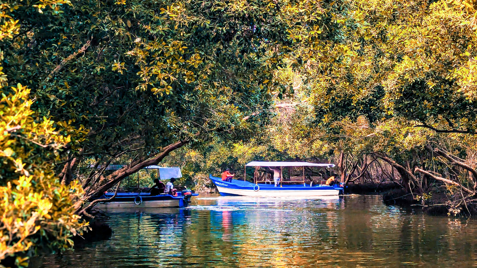 Bali Mangrove Cruise 