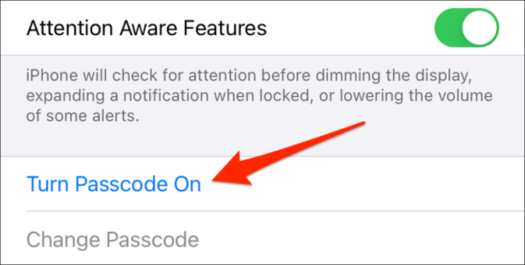 "Turn Passcode On" highlighted in the iPhone Settings menu